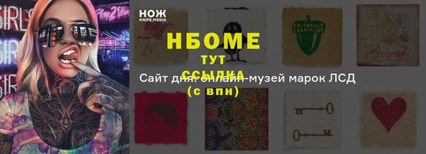 прущие грибы Алзамай