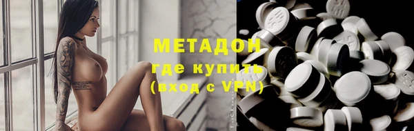 прущие грибы Алзамай