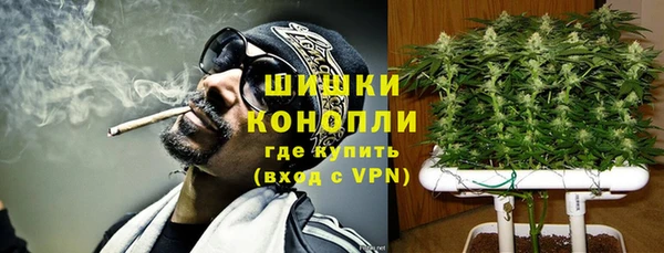 прущие грибы Алзамай