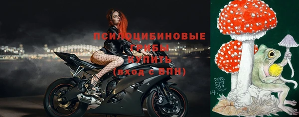 прущие грибы Алзамай