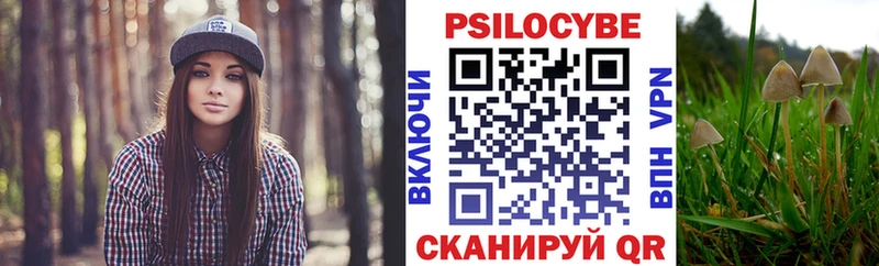 Галлюциногенные грибы ЛСД  Чайковский 